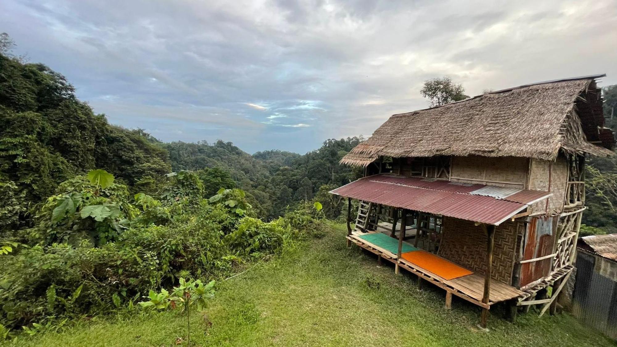 Orangutantreksumatra & Lovely Jungle Lodge Only Book If You Are Treking With Us Bukit Lawang Quarto foto