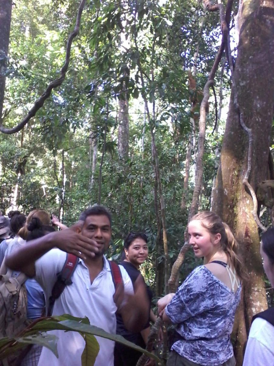 Orangutantreksumatra & Lovely Jungle Lodge Only Book If You Are Treking With Us Bukit Lawang Quarto foto